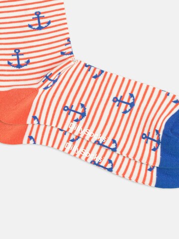 DillySocks Socks 'Aye Aye Captain!' in Mixed colors