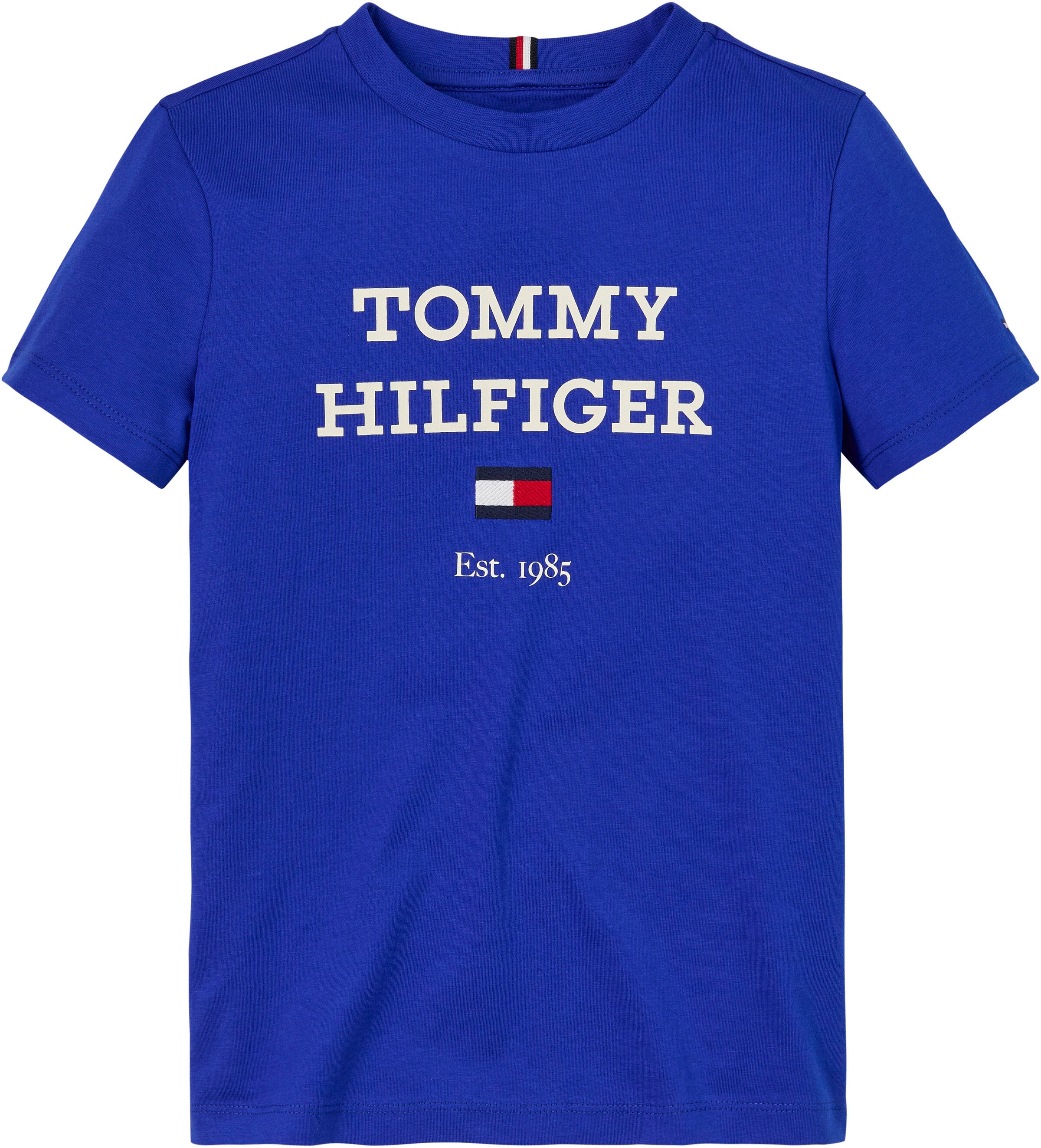 TOMMY HILFIGER Shirt in Blue: front
