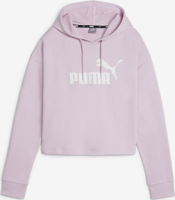 PUMA Sweatshirt in Purple: front