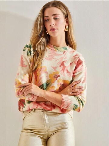 Bianco Lucci Pulover 'Pullover' | mešane barve barva
