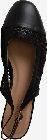 POTI PATI Pumps 'Pumps mit Riemchen' in Zwart