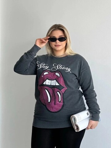 Stil Diva Trui in Grijs