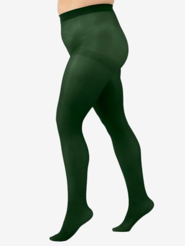 Sokisahtel - Leotardos 'GLOW' en verde: frente