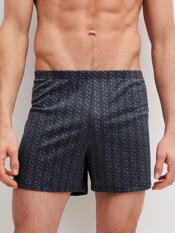 CALIDA Boxershorts 'Prints'‌‌‌‌‌ in Grau