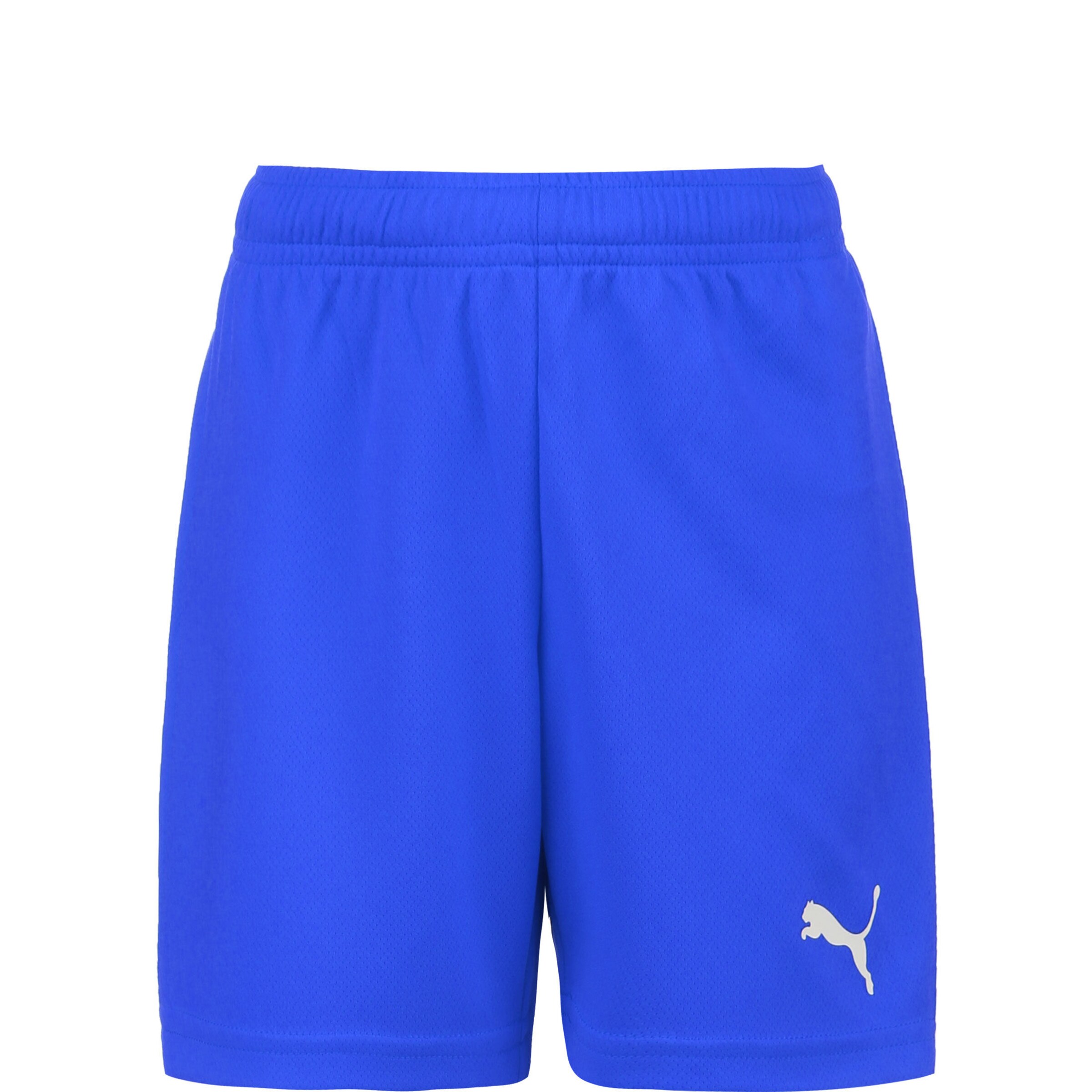 Pantalon de sport 'TeamRise' PUMA en bleu : devant