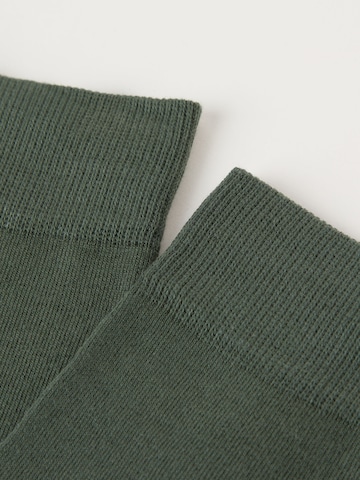 CALZEDONIA Socks in Green