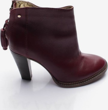 Ted Baker Stiefeletten 38 in Rot: predná strana