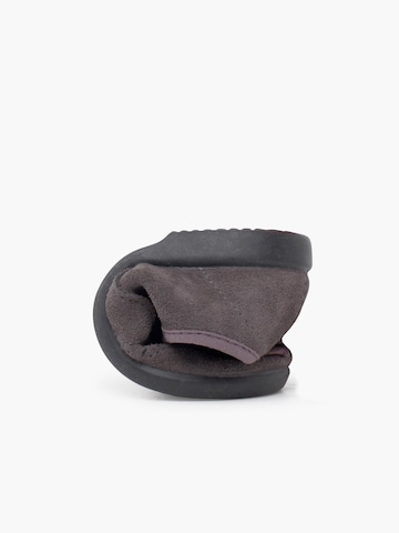 Pisamonas Halbschuh‌‌ in Grau