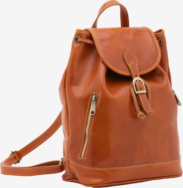 Viola Castellani Rucksack in Braun: Vorderseite