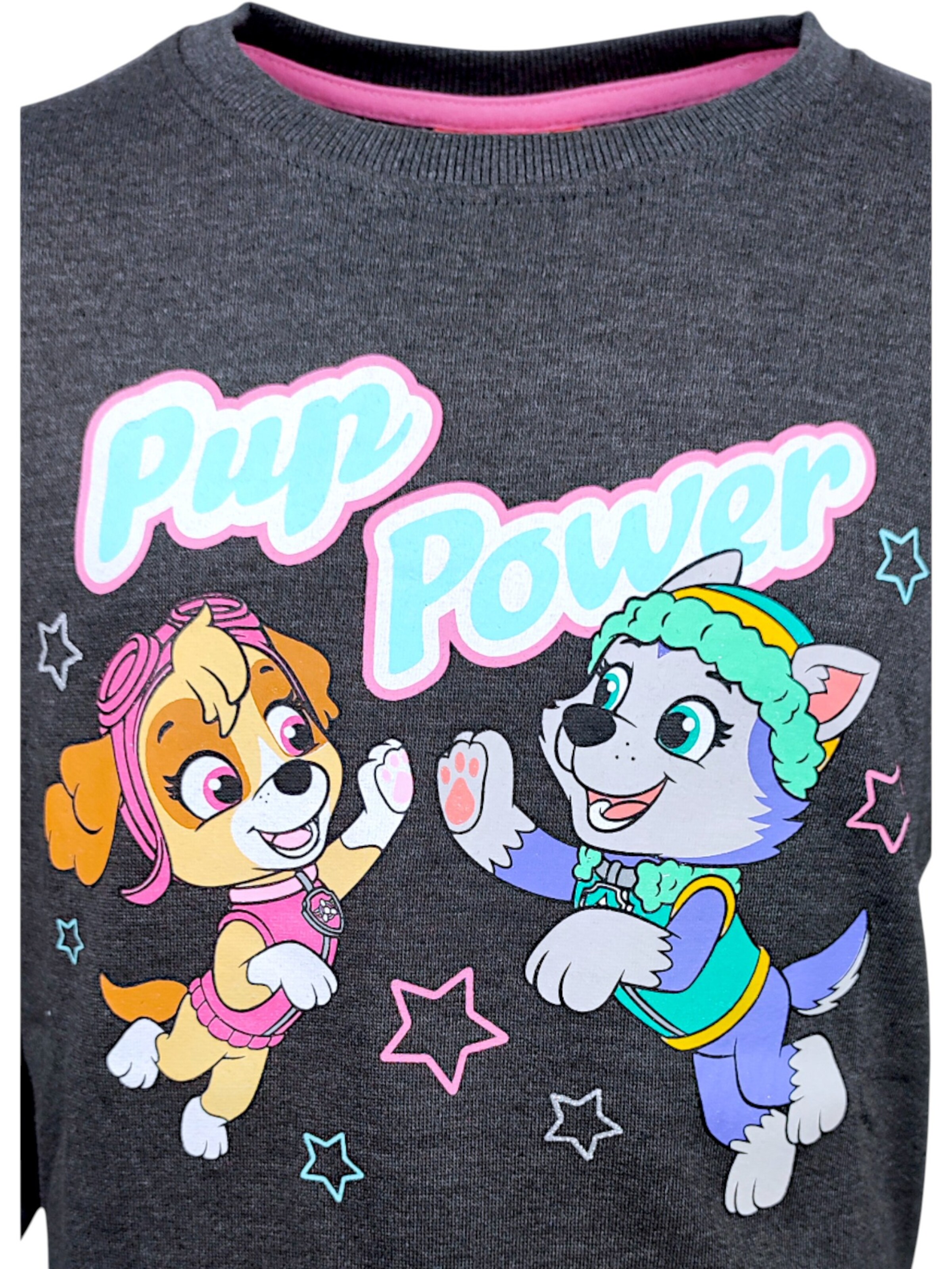 Paw Patrol Sweatshirt 'Skye'‌‌‌‌ in Grau