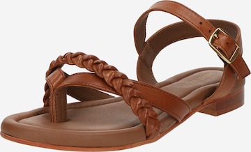 ABOUT YOU - Sandalias con hebilla 'Hailey' en marrón: frente