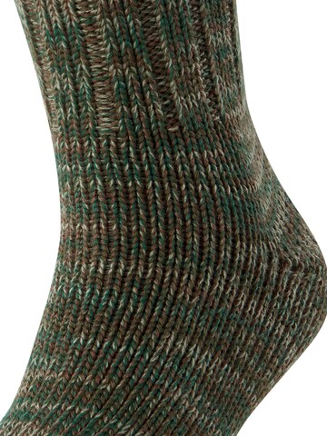 FALKE Socks 'Brooklyn' in Brown