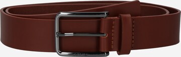 Ceinture Calvin Klein en marron : devant