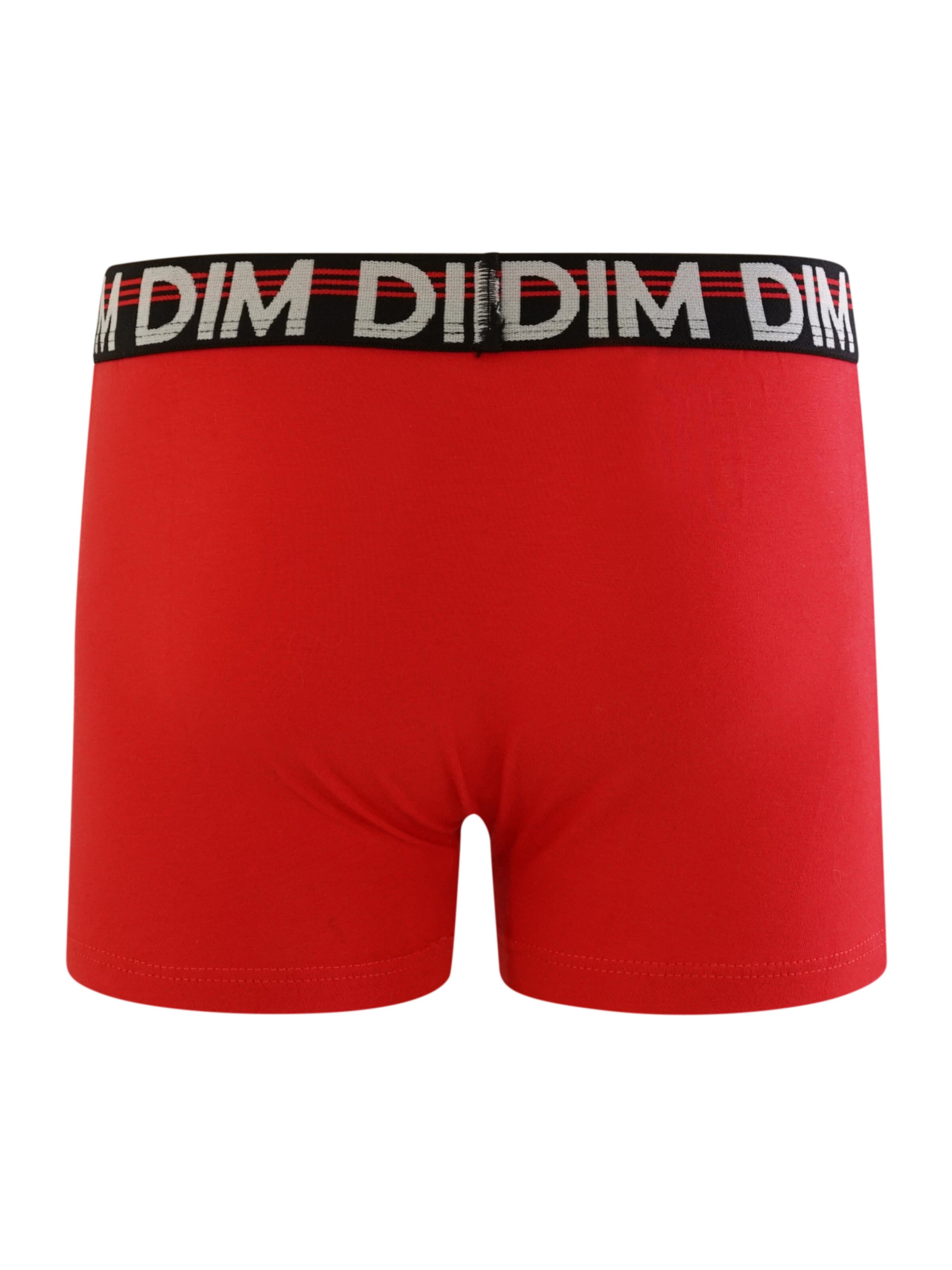 DIM Underpants in Grey