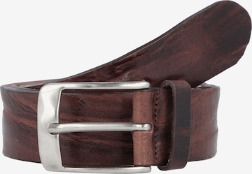 VANZETTI Belt in Brown: front