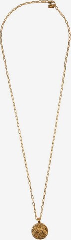 Haze&Glory Necklace 'Widder' in Gold: front