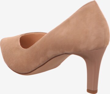 Högl Pumps 'Boulevard 60' in Beige