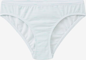 SCHIESSER Underpants in Mixed colors