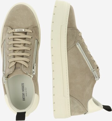 ANTONY MORATO Sneaker in Braun