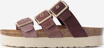 Bayton Mules 'Castelo' in Brown: front