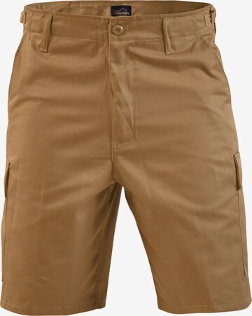 Regular Pantalon fonctionnel 'Dasht' normani en beige : devant