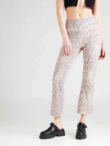 Bootcut Leggings Ragdoll LA en marron : devant