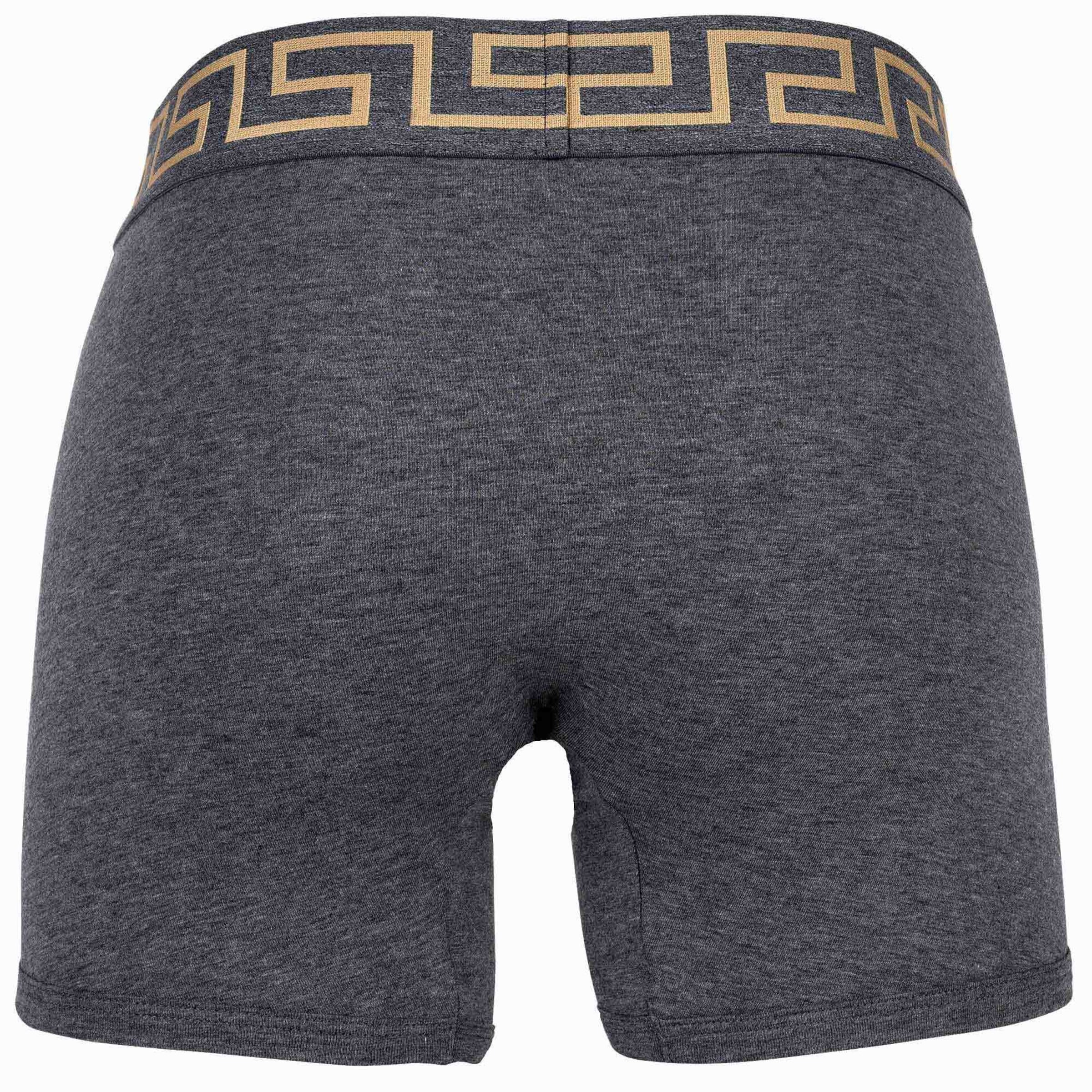 VERSACE Boksershorts i grå