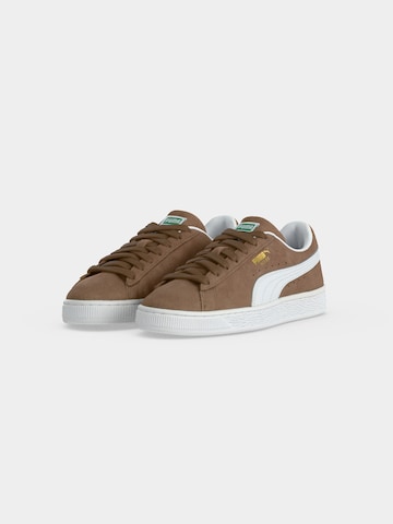 PUMA Sneaker in Braun