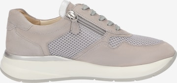 SIOUX Sneakers 'Segolia-714-J' in Grey