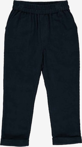 Regular Pantaloni de la Müsli by GREEN COTTON pe albastru: față
