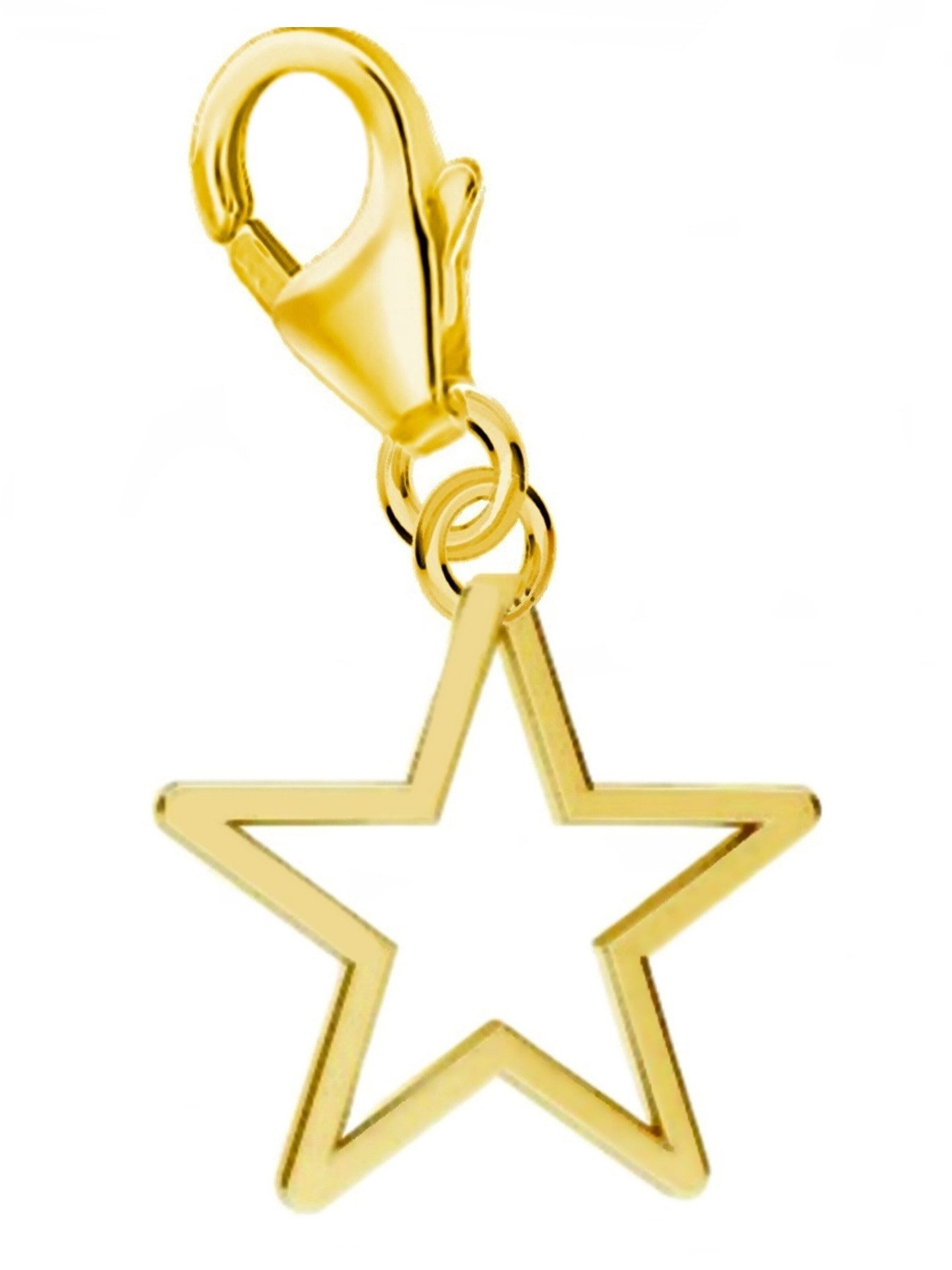 Goldene Hufeisen Pendant 'Stern' in Gold: front