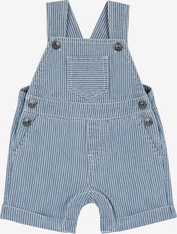 Chicco Regular Haalari värissä sininen: etupuoli