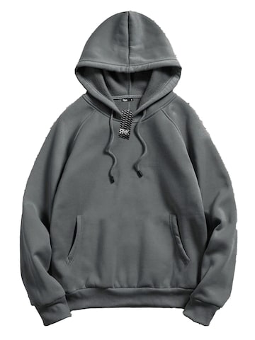 RMK Sweatshirt 'Ananas' in Grey: front