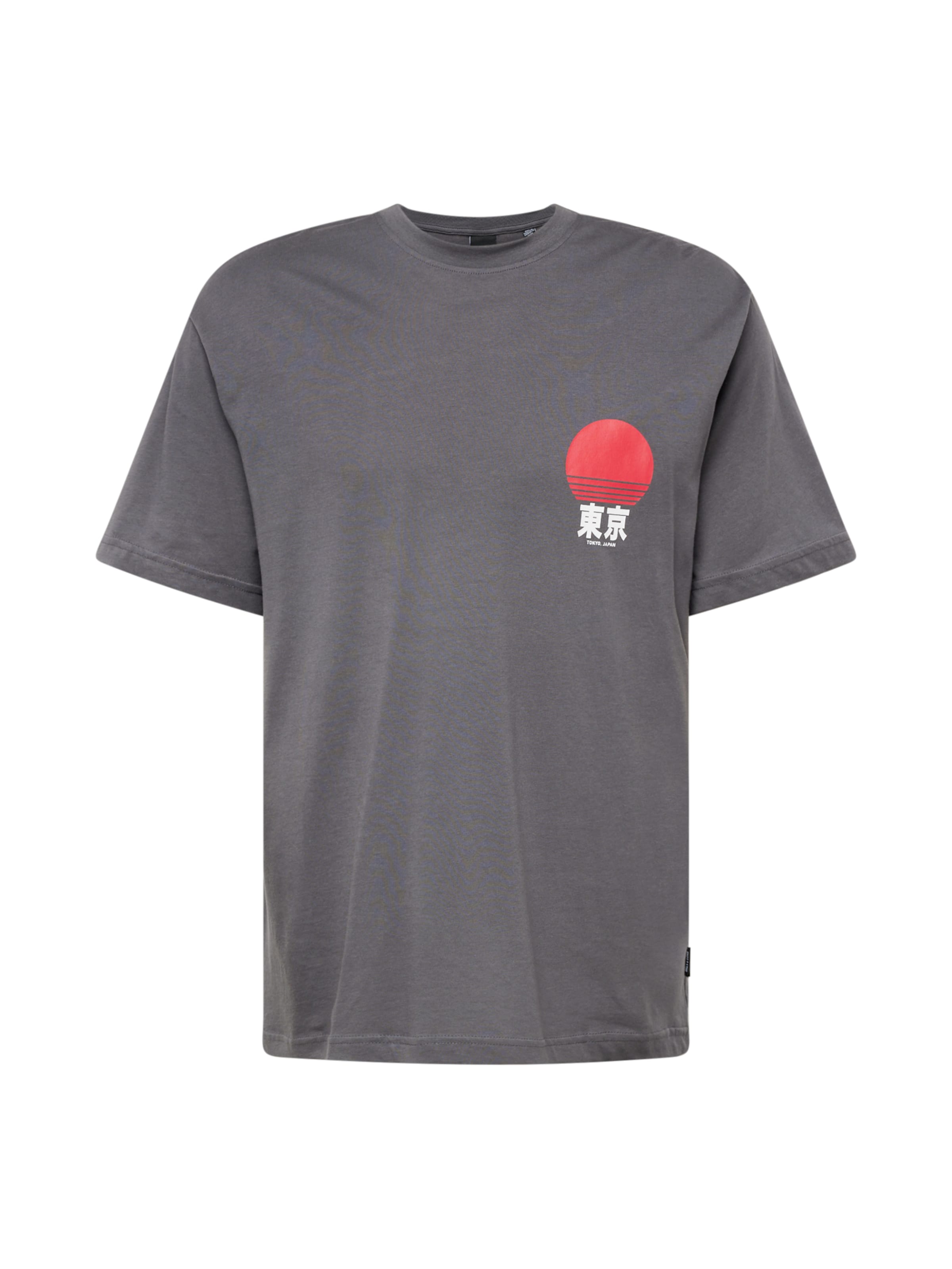 Only & Sons Bluser & t-shirts 'ONSFall' i grå: forside