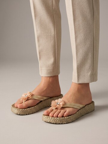 Tongs 'CHEERFUL17F' ILSE JACOBSEN en or : devant