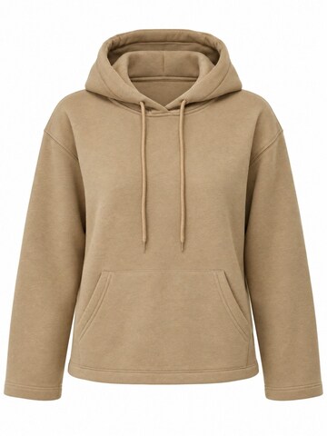 Sweat-shirt Ethiquet en marron : devant