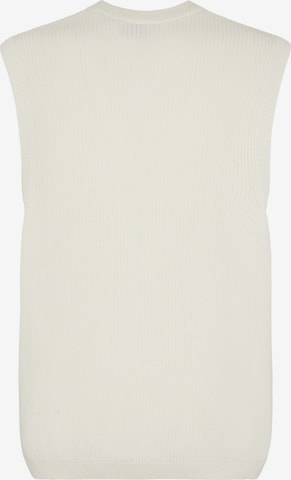 DICKIES Vest 'MELVERN ' in White