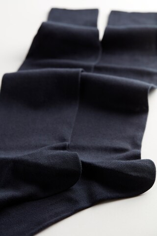INTIMISSIMI Socks in Blue