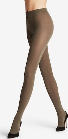 FALKE Strumpfhose 'Cotton Touch' in Grün: Vorderseite