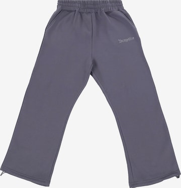 Dropsize Hlače | siva barva: sprednja stran