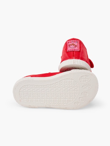 Pisamonas Ballerina‌‌‌ in Rot