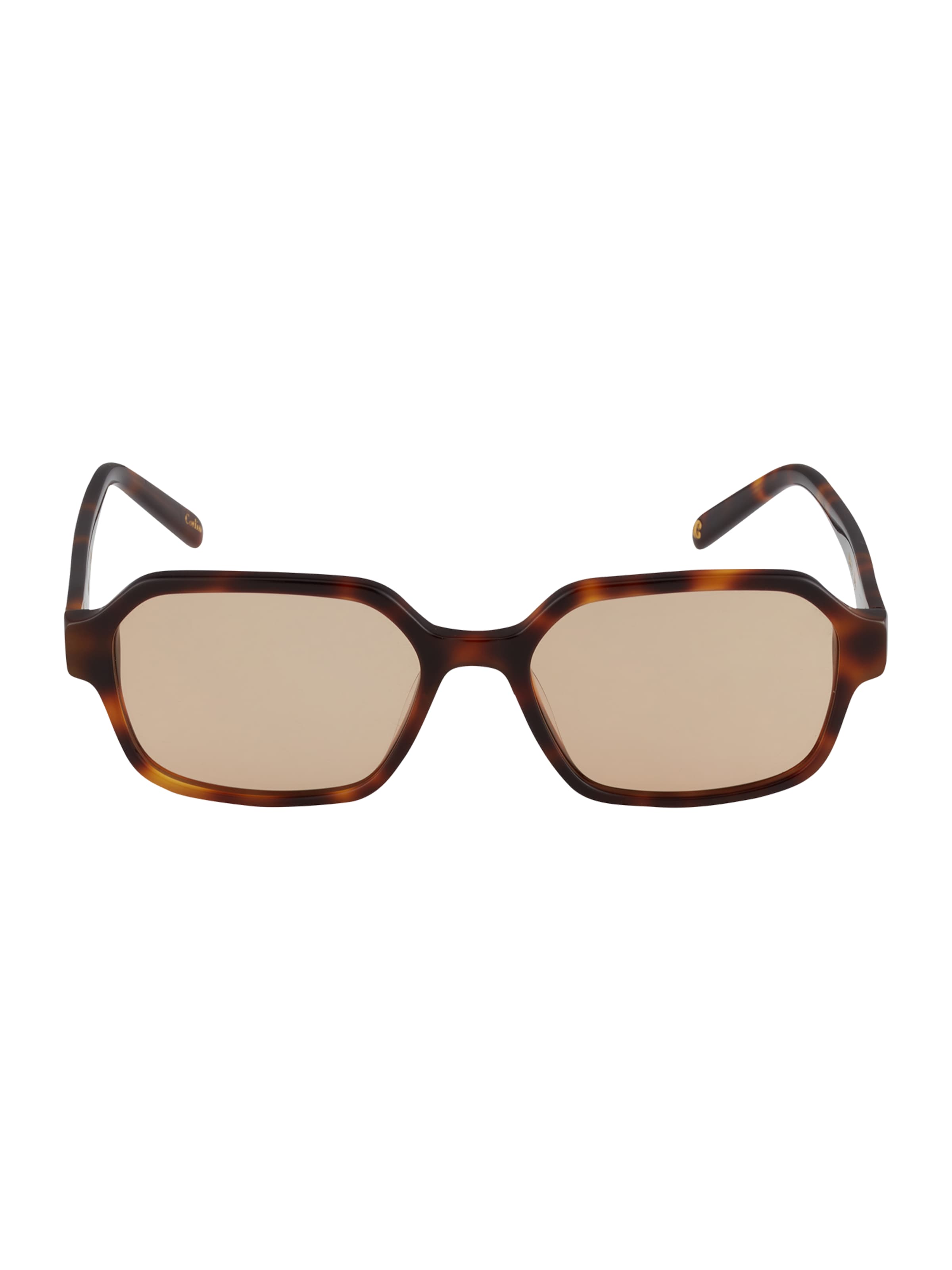 Corlin Sunglasses 'Alex' in Brown