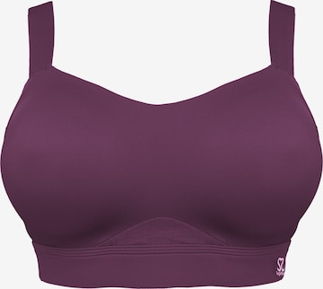 SugarShape BH 'Jive' in Lila: Vorderseite