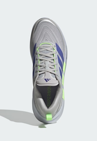 ADIDAS PERFORMANCE Jooksujalats 'Supernova Glide', värv hall