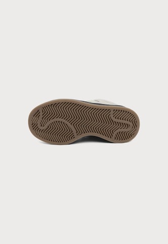 ADIDAS ORIGINALS Sneakers 'CAMPUS' in Beige
