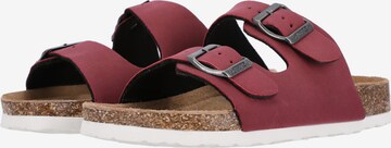 Cruz Sandalen 'Whitehill' in Rood