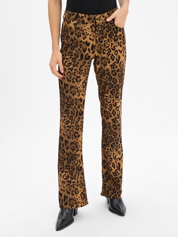 Franco Callegari Boot cut Pants in Brown: front