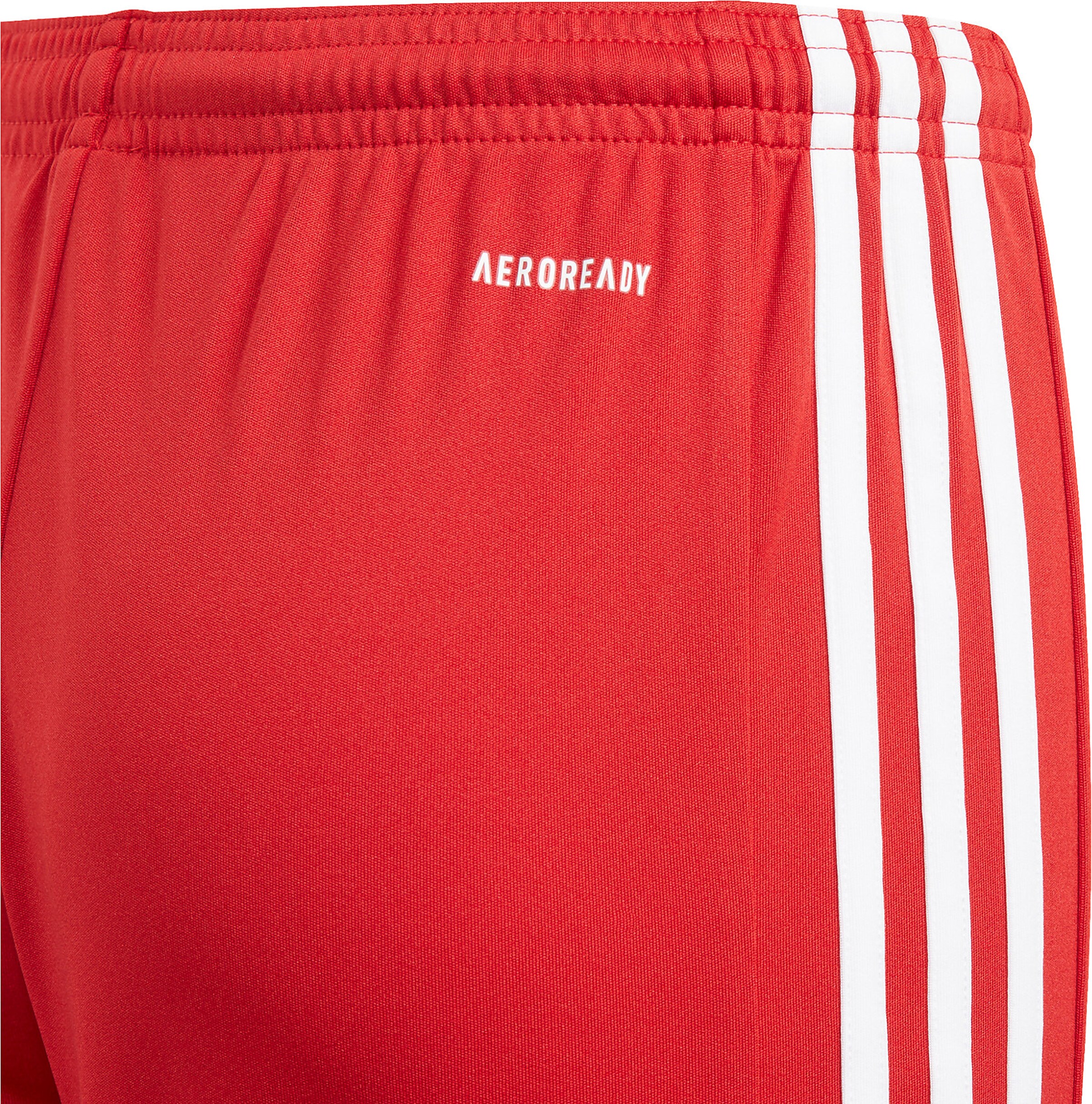 ADIDAS PERFORMANCE Regular Workout Pants 'Squadra 21' in Red