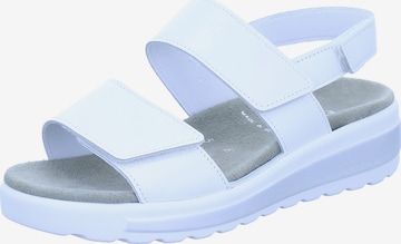 SEMLER Sandale in Blau: Vorderseite