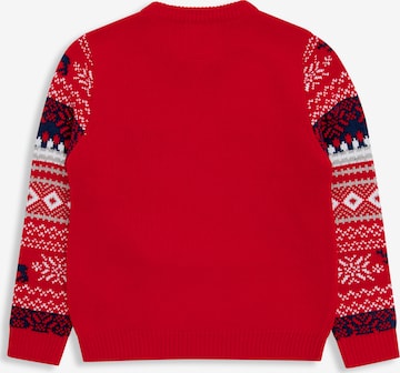 Threadboys Sweater 'Bear' in Red